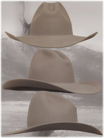 Cowboyhut 1875Q